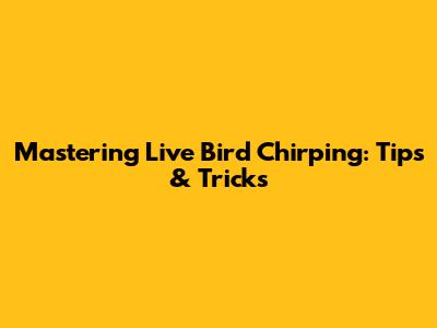 Mastering Live Bird Chirping: Tips & Tricks