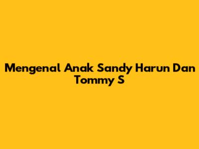 Mengenal Anak Sandy Harun Dan Tommy S