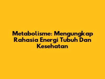 Metabolisme: Mengungkap Rahasia Energi Tubuh Dan Kesehatan
