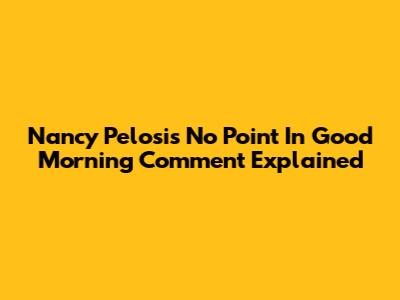 Nancy Pelosi's 'No Point In Good Morning' Comment Explained
