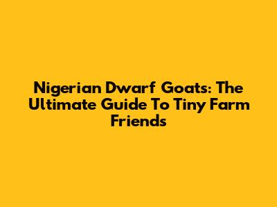 Nigerian Dwarf Goats: The Ultimate Guide To Tiny Farm Friends
