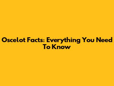 Oscelot Facts: Everything You Need To Know