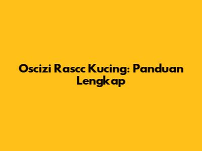 Oscizi Rascc Kucing: Panduan Lengkap