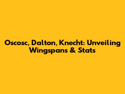 Oscosc, Dalton, Knecht: Unveiling Wingspans & Stats