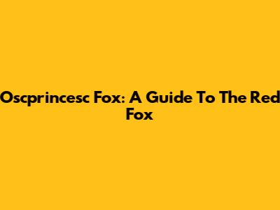 Oscprincesc Fox: A Guide To The Red Fox