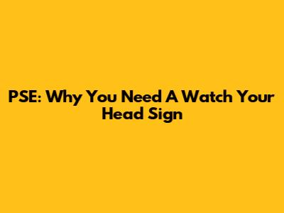 PSE: Why You Need A Watch Your Head Sign