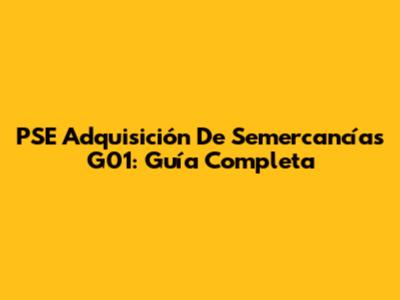 PSE Adquisición De Semercancías G01: Guía Completa