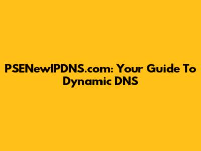 PSENewIPDNS.com: Your Guide To Dynamic DNS