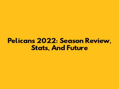 Pelicans 2022: Season Review, Stats, And Future