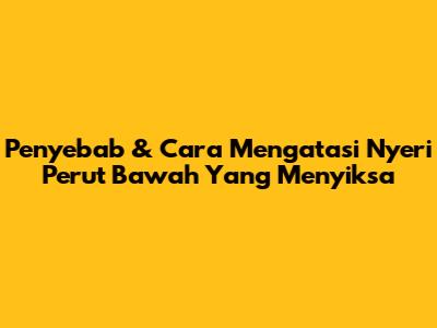Penyebab & Cara Mengatasi Nyeri Perut Bawah Yang Menyiksa
