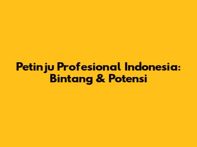 Petinju Profesional Indonesia: Bintang & Potensi