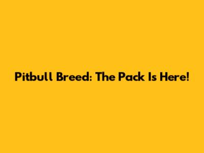 Pitbull Breed: The Pack Is Here!