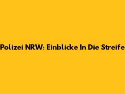 Polizei NRW: Einblicke In Die Streife