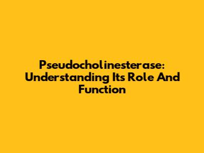 Pseudocholinesterase: Understanding Its Role And Function