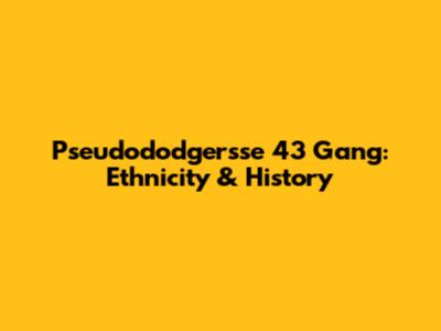 Pseudododgersse 43 Gang: Ethnicity & History