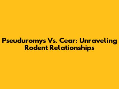 Pseuduromys Vs. Cear: Unraveling Rodent Relationships