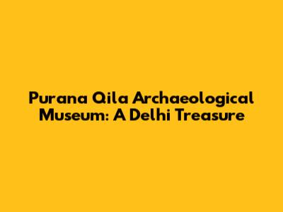 Purana Qila Archaeological Museum: A Delhi Treasure
