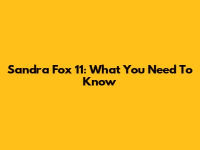 Sandra Fox 11: What You Need To Know