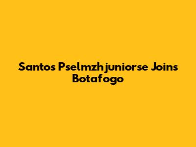 Santos' Pselmzhjuniorse Joins Botafogo