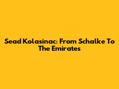 Sead Kolasinac: From Schalke To The Emirates