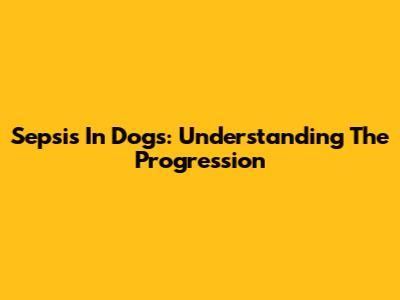 Sepsis In Dogs: Understanding The Progression