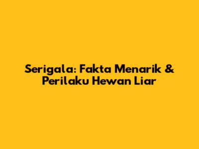 Serigala: Fakta Menarik & Perilaku Hewan Liar