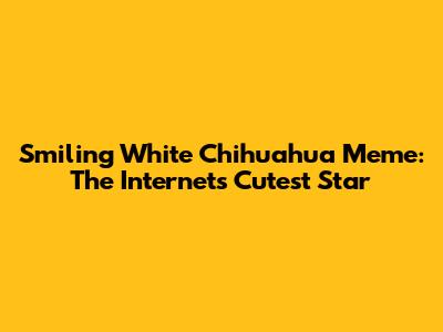 Smiling White Chihuahua Meme: The Internet's Cutest Star