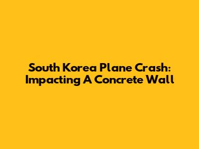 South Korea Plane Crash: Impacting A Concrete Wall