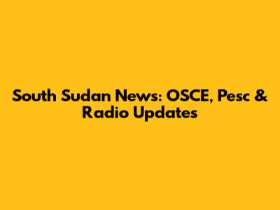 South Sudan News: OSCE, Pesc & Radio Updates