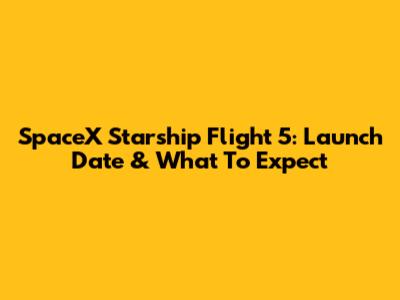 SpaceX Starship Flight 5: Launch Date & What To Expect