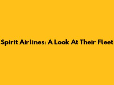 Spirit Airlines: A Look At Their Fleet