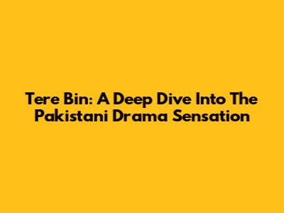 Tere Bin: A Deep Dive Into The Pakistani Drama Sensation