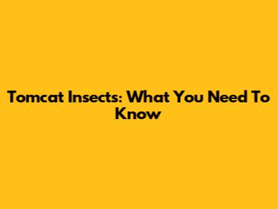 Tomcat Insects: What You Need To Know