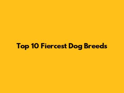 Top 10 Fiercest Dog Breeds
