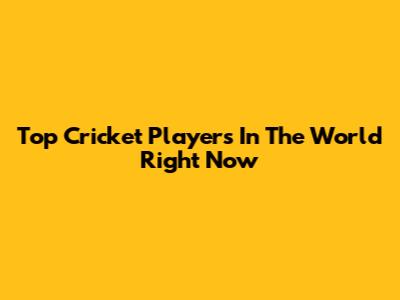 Top Cricket Players In The World Right Now