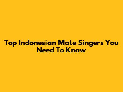 Top Indonesian Male Singers You Need To Know