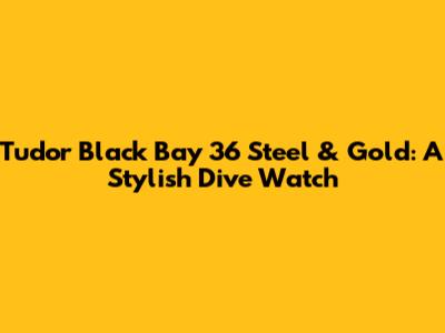 Tudor Black Bay 36 Steel & Gold: A Stylish Dive Watch