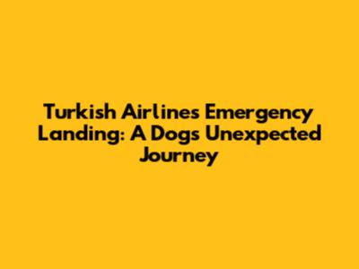 Turkish Airlines Emergency Landing: A Dog's Unexpected Journey