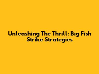 Unleashing The Thrill: Big Fish Strike Strategies