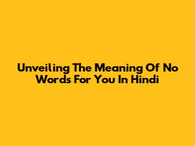 Unveiling The Meaning Of 'No Words For You' In Hindi