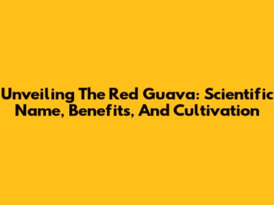 Unveiling The Red Guava: Scientific Name, Benefits, And Cultivation