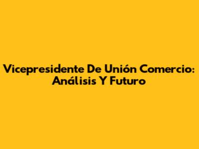 Vicepresidente De Unión Comercio: Análisis Y Futuro