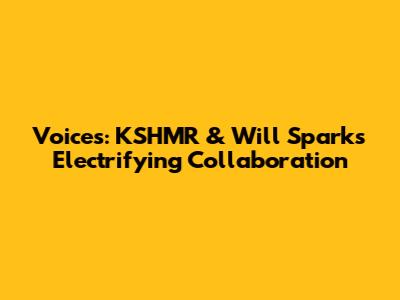 Voices: KSHMR & Will Sparks' Electrifying Collaboration