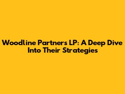 Woodline Partners LP: A Deep Dive Into Their Strategies
