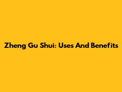 Zheng Gu Shui: Uses And Benefits