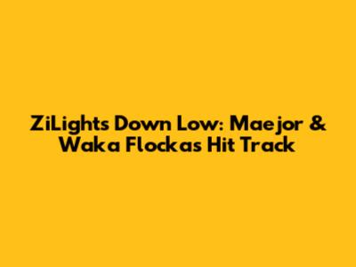 ZiLights Down Low: Maejor & Waka Flocka's Hit Track
